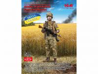 Soldier of the Armed Forces of Ukraine (Vista 2)