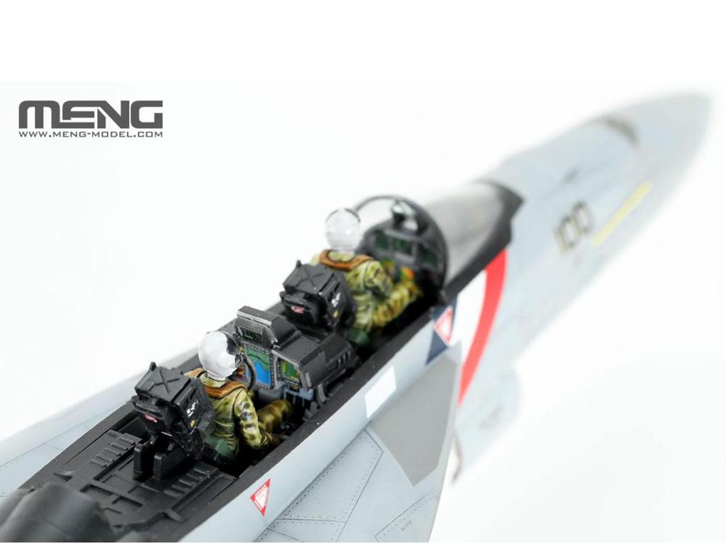 Boeing F/A-18F Super Hornet Bounty Hunters (Vista 4)