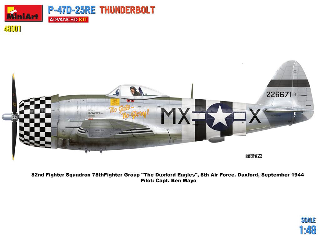 P-47D-25RE Thunderbolt (Vista 11)