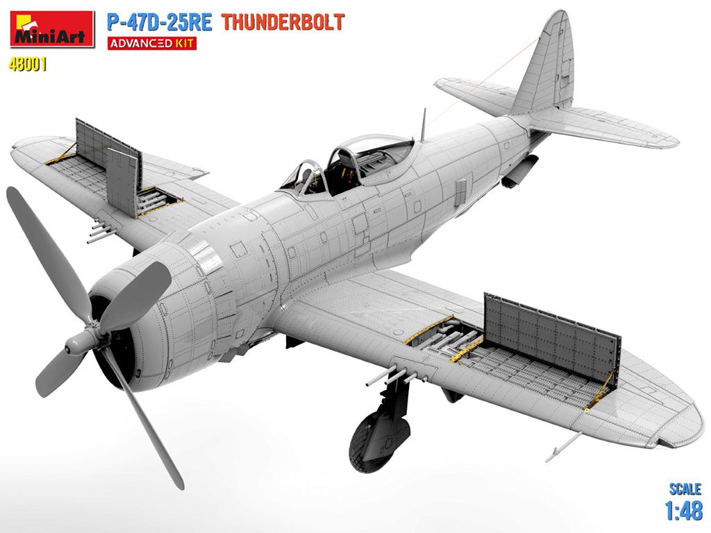 P-47D-25RE Thunderbolt (Vista 2)