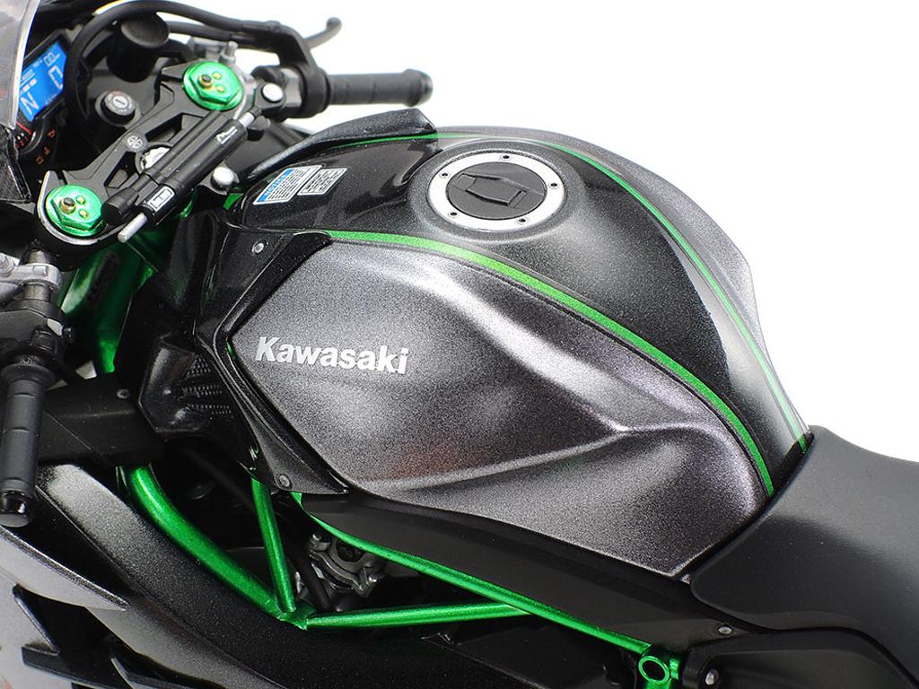 Kawasaki Ninja H2 Carbon (Vista 12)