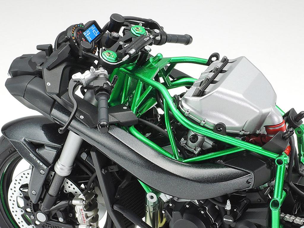 Kawasaki Ninja H2 Carbon (Vista 8)