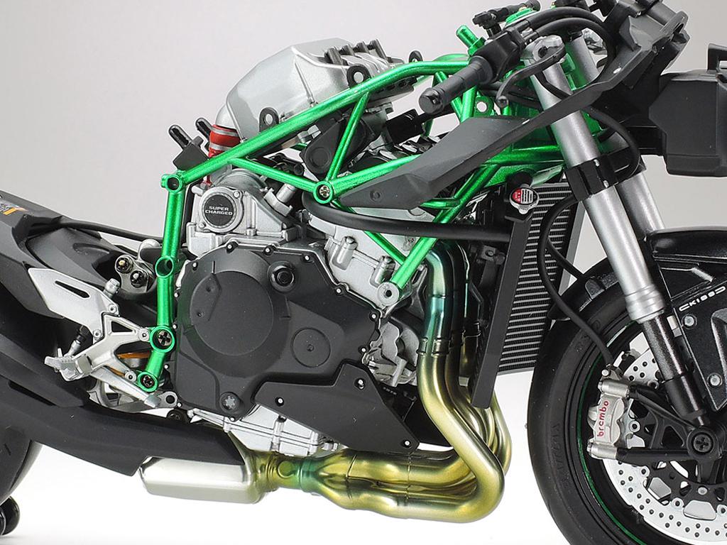 Kawasaki Ninja H2 Carbon (Vista 9)