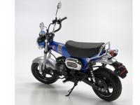 Honda Dax125 Tamiya Edition (Vista 15)